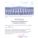 workshop